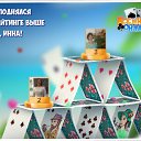 ���� �������, ������, 51 ��� - ��������� 26 ������ 2018 � ������ �������� �������-�������
