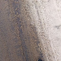 �������, ������, 41 ���