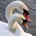 ���� ���������������������, ����, 53 ���� - ��������� 20 ������ 2018 � ������ ���� ����������