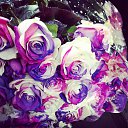 ���� ��������, ��������� - ��������� 29 ������ 2017 � ������ ������ ��������