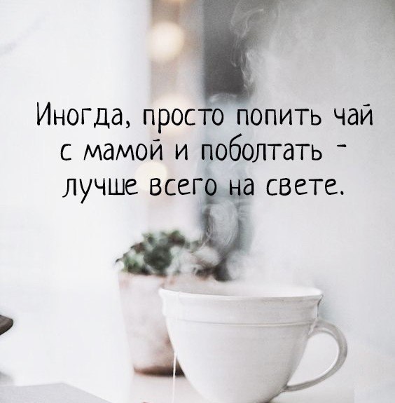   -  ,  -  - 23  2018  02:33