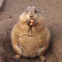 - !  ?-        9  ? !      