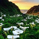 ���� ������, ��������� - ��������� 5 ����� 2018 � ������ ������ ��������