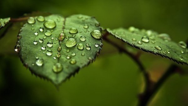 Жизнь безумно красива, когда начинаешь ее замечать...