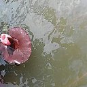 ���� Olga, ������, 67 ��� - ��������� 4 ���� 2018 � ������ ���� ����������