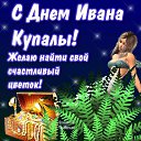 ���� ������, ��������, 52 ���� - ��������� 7 ���� 2018