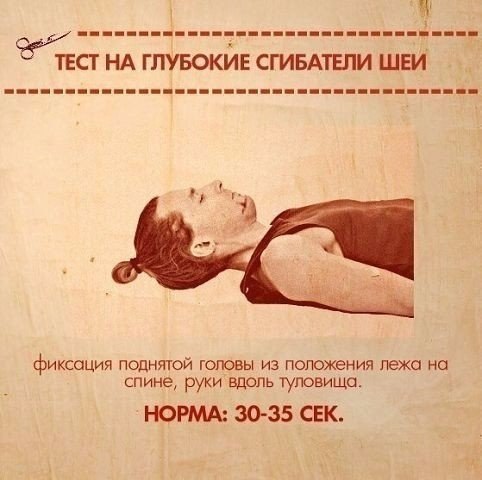 ТЕСТЫ НА ФУНКЦИОНАЛЬНУЮ СЛАБОСТЬ МЫШЦ. Тело нетренированного (а часто и тренированного) человека ... - 4