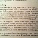 ���� �������, �����, 51 ��� - ��������� 1 ������� 2018 � ������ ������������ �����������