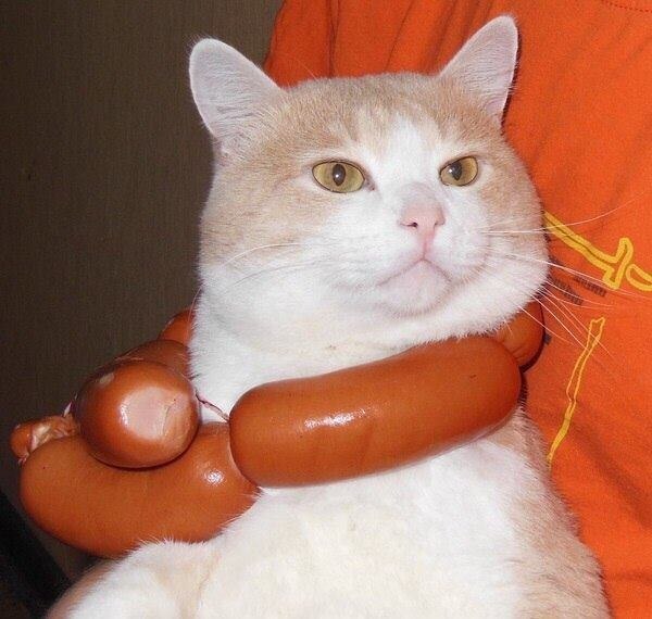       ,  ,  ,   ...