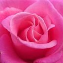 ���� 165656, �������, 37 ��� - ��������� 31 ��� 2018 � ������ ���