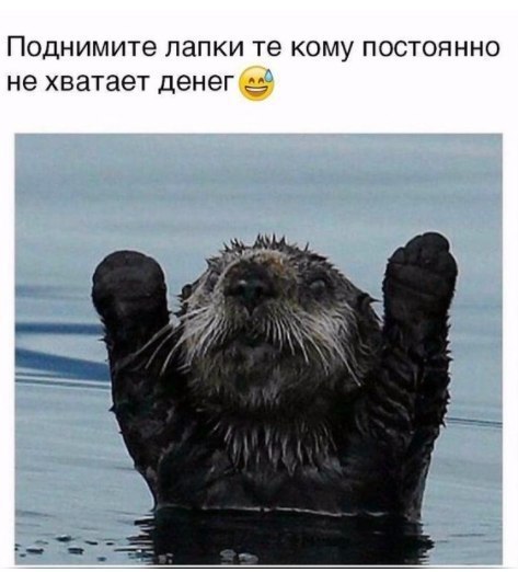    :D - 21  2017  03:46