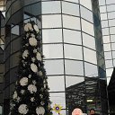 ���� �������, �����������, 43 ���� - ��������� 27 ������� 2017 � ������ ���� ����������