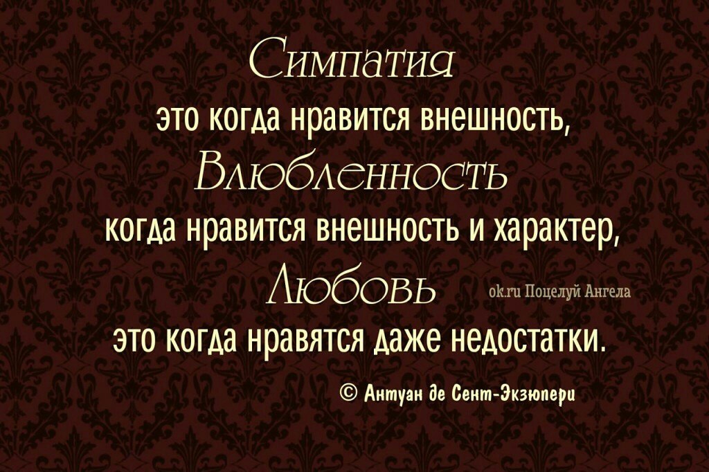 Симпатия что это. Симпатия. Симпатия это простыми. Симпатизировать и Импонировать. Цитата симпатия это когда Нравится внешность ….