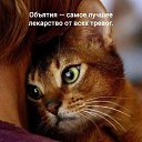 ���� _Alina, ������ �������� - ��������� 28 ������� 2018 � ������ ���� ����������