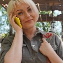  , -, 51  -  26  2017   ߻