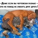 ���� �������, ������, 44 ���� - ��������� 5 ������ 2018 � ������ ������ ��������