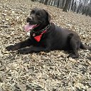 ���� ���, ������, 42 ���� - ��������� 8 ������� 2018 � ������ ���� ����������