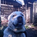 ���� ����, ����������� - ��������� 12 ������� 2018 � ������ ���� ����������