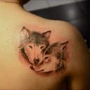 ���� �����, ���������� - ��������� 5 ����� 2018 � ������ ���� ����������