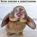 ���� �������, ��������� - ��������� 8 ������ 2018 � ������ ������ ��������