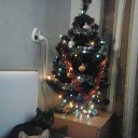 ���� ��������, ������-������ - ��������� 2 ������ 2018 � ������ ������ ��������