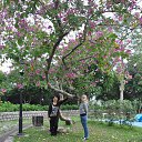 ���� ���, ��������� - ��������� 11 ������ 2018