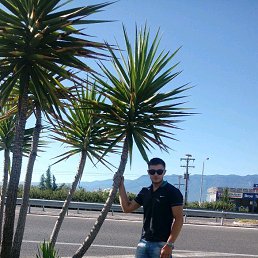 ��������)