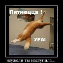 ���� �����, ������, 58 ��� - ��������� 20 ������ 2018 � ������ ���� ����������