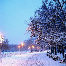 ���� Lasha, �������, 46 ��� - ��������� 21 ������ 2018