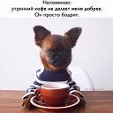 ���� Albina, ����, 25 ��� - ��������� 29 ������ 2018