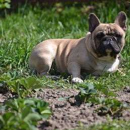 ���� ������, ������, 41 ��� - ��������� 11 ����� 2018