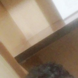 Andru, ���������, 43 ����