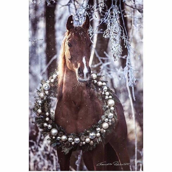  -   ! - 29  2017  03:42