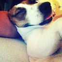 ���� ������� ����������, ������, 41 ��� - ��������� 16 ������ 2018 � ������ �������� ���� 2018�