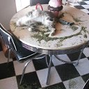 ���� ���������, ��������, 48 ��� - ��������� 5 ������ 2018 � ������ ���� ���