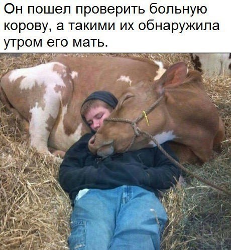 -    -    ))).# - 3