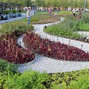 ���� �����, ������ - ��������� 3 ������� 2017 � ������ ������ 2017�