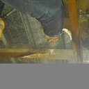 ���� ��������, ������, 40 ��� - ��������� 21 ������� 2017 � ������ ���� ����������