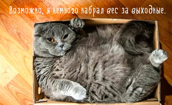 � ����� �����! - 28 ������� 2017 � 15:10