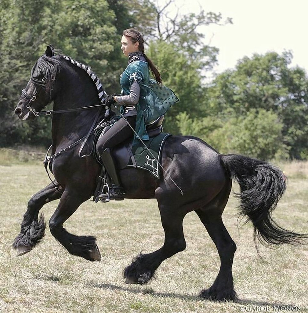  -   ! - 11  2018  03:44