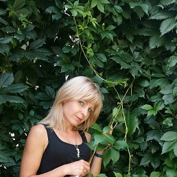 ����, ������