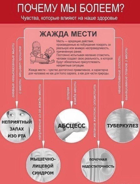 Психосоматика или чувства, которые влияют на наше здоровье. - 3