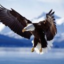 ���� Akhror, ������� ��������, 45 ��� - ��������� 25 ������ 2018 � ������ ���� ����������