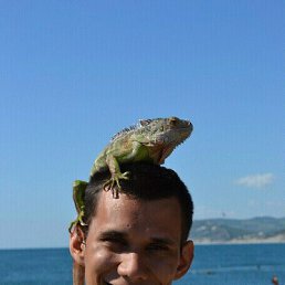 �������, ���������, 35 ���