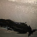 ���� Ctpahhuk, ����, 41 ��� - ��������� 23 ������� 2017 � ������ ������ ��������