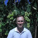 ���� �����, ���������, 53 ���� - ��������� 3 ���� 2018