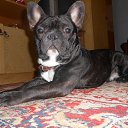 ���� �����, ������-���������, 51 ��� - ��������� 7 ������� 2018 � ������ ������ ��������