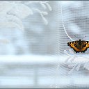 ���� ���������, �������� - ��������� 11 ���� 2018 � ������ ���� ����������