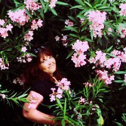 �����, ������������