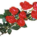 ���� ������, ���������, 60 ��� - ��������� 2 ������� 2017 � ������ ���� ����������